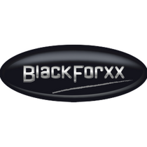 BlackForxx GmbH Versteigerung